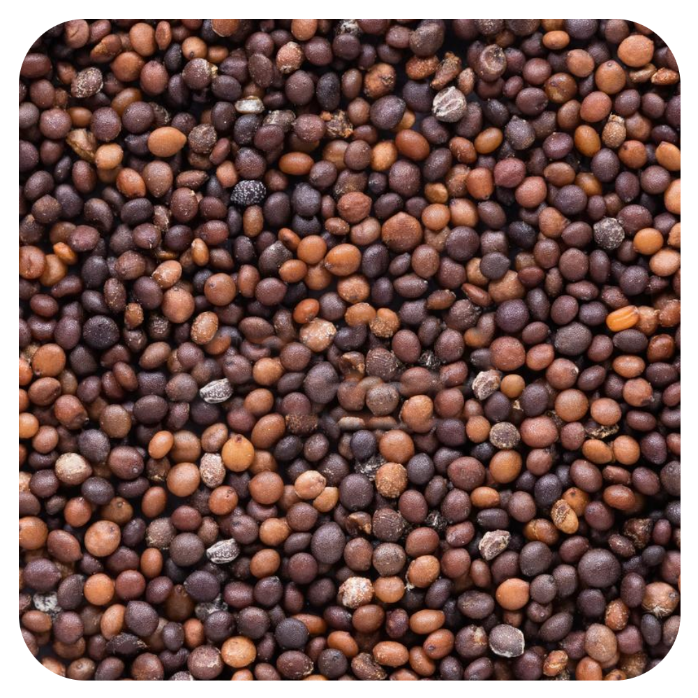 seed