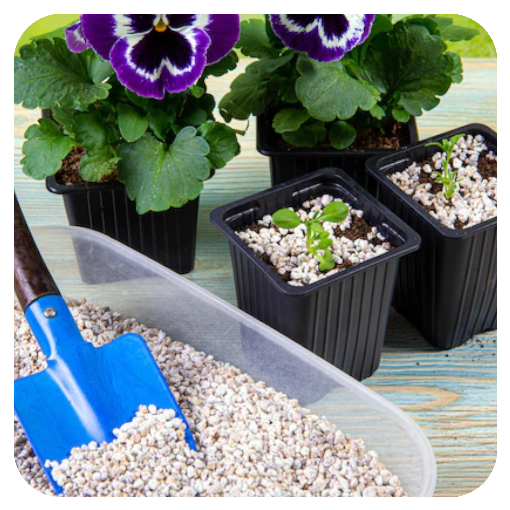 perlite1