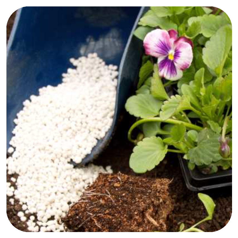 perlite2